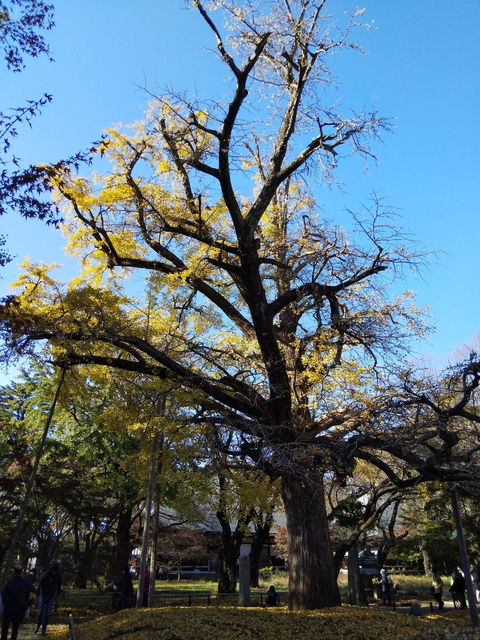 DSC_1664.jpg