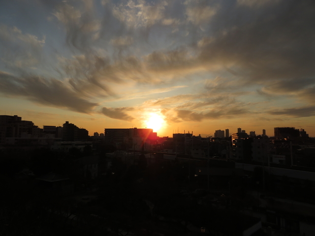 IMG_4393.jpg