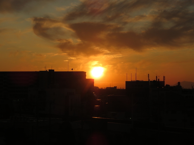 IMG_4433.jpg