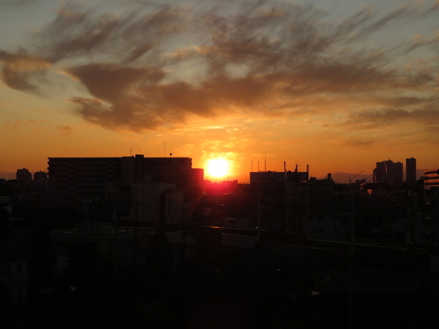 IMG_4460.jpg
