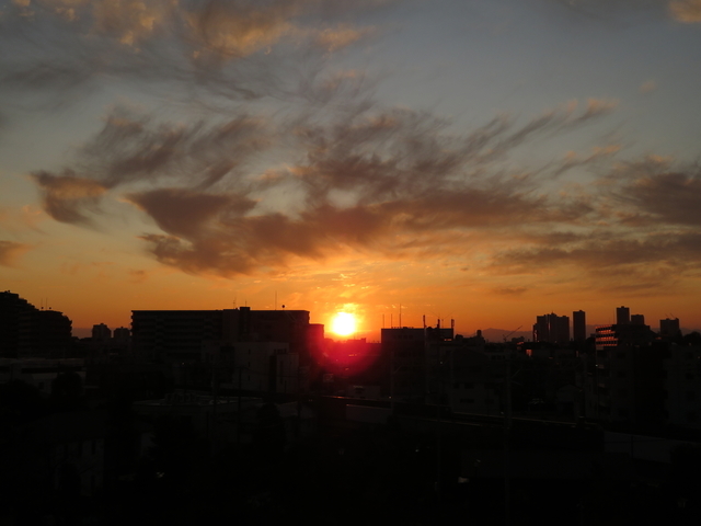 IMG_4475.jpg