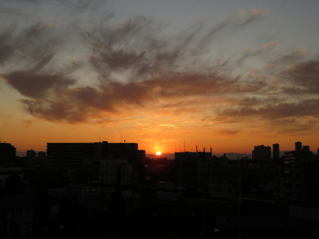 IMG_4514.jpg