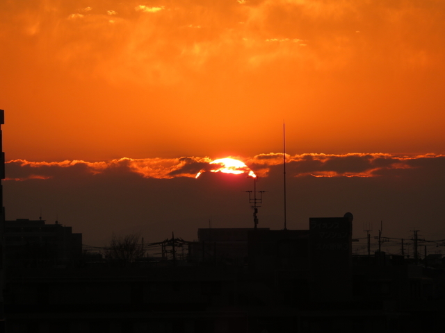 IMG_4524.jpg