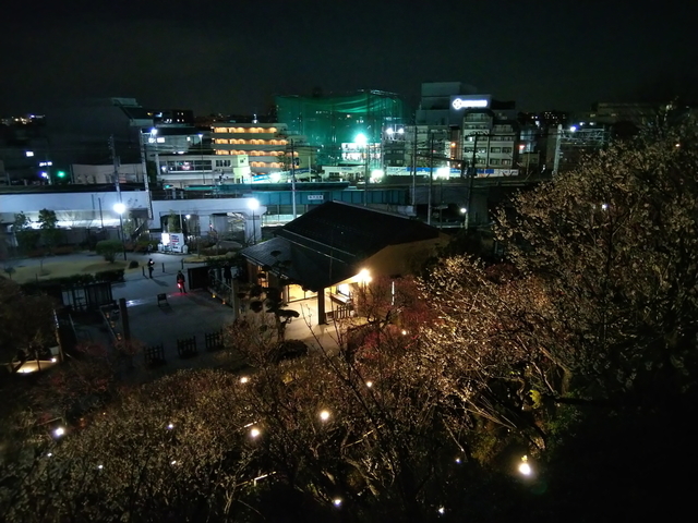 DSC_0228.jpg