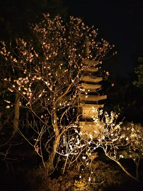DSC_0094.jpg