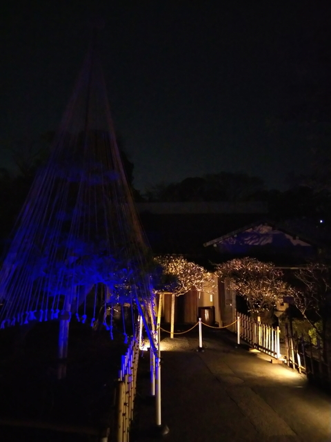 DSC_0140.jpg