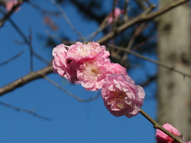 IMG_7993.jpg