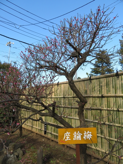 IMG_7759.jpg