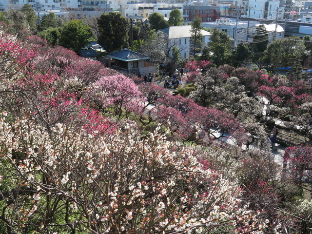 IMG_7959.jpg