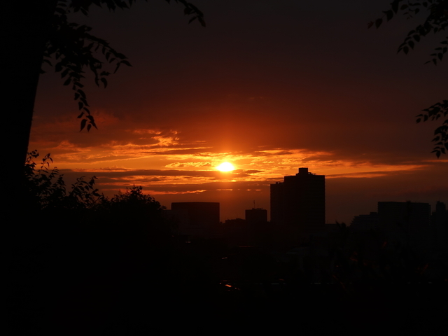 IMG_6894.jpg
