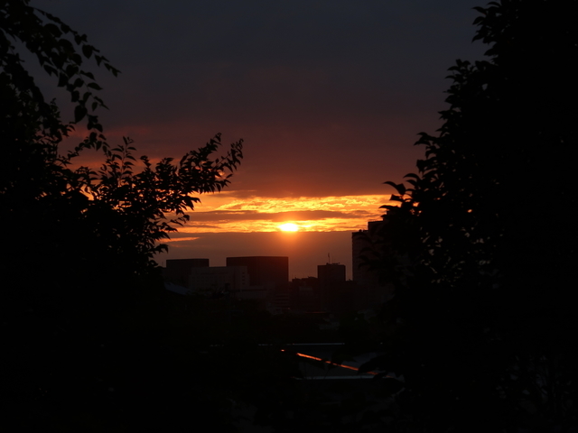 IMG_6858.jpg