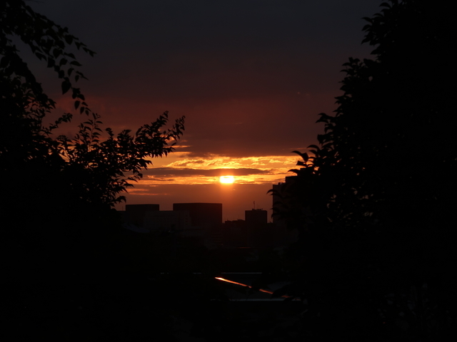 IMG_6869.jpg