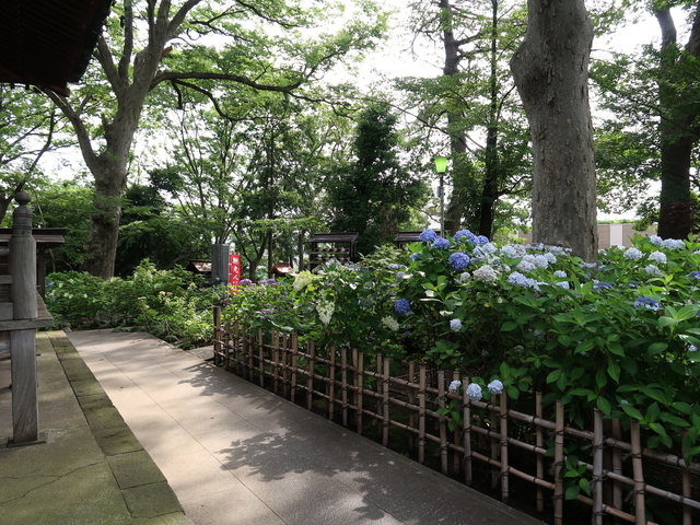 IMG_6720.jpg
