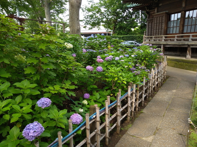 DSC_2774.jpg
