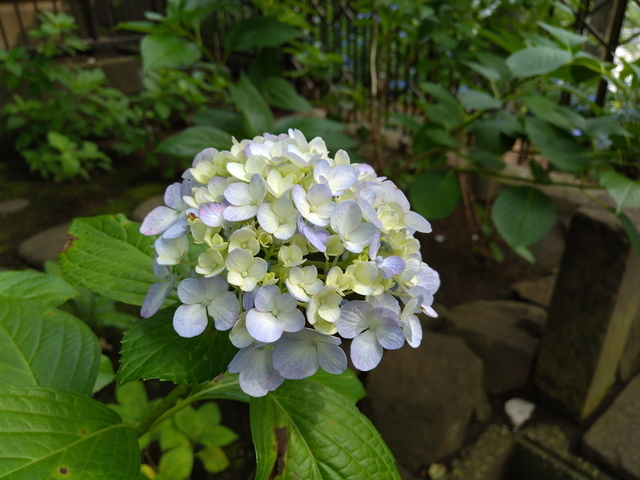 DSC_2787.jpg