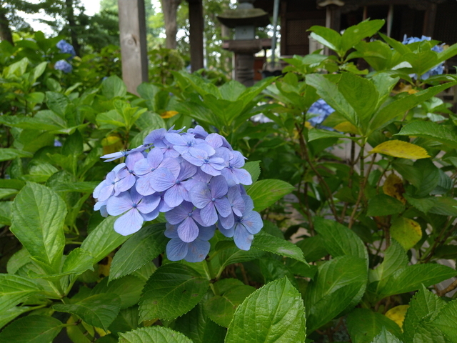 DSC_2791.jpg