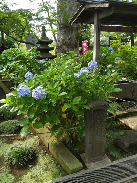 DSC_2836.jpg