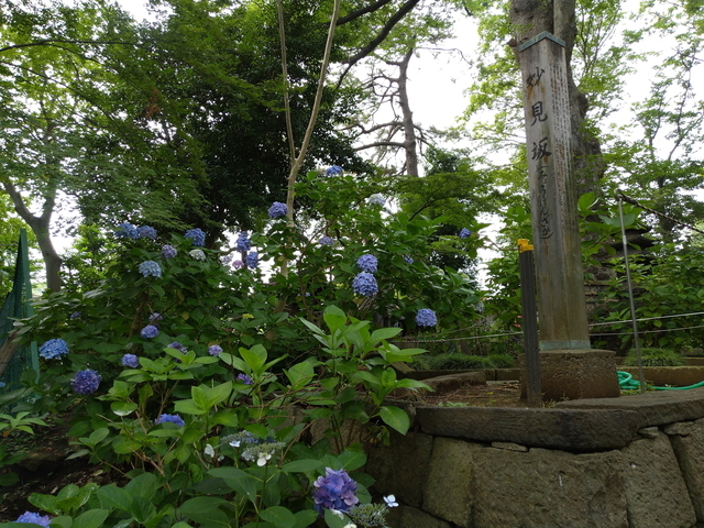 DSC_2759.jpg