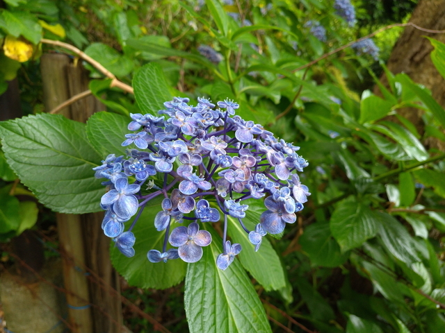 DSC_2841.jpg