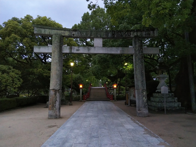 DSC_1175.jpg