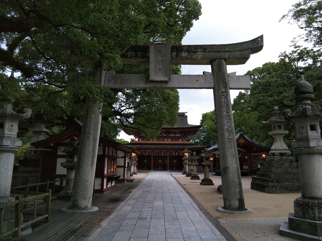 DSC_1202.jpg