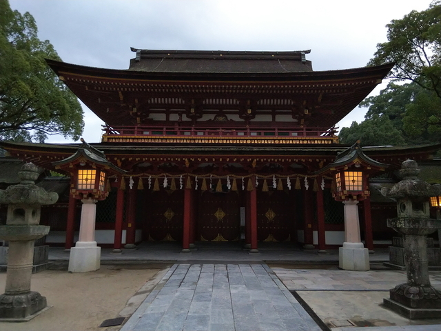 DSC_1208.jpg