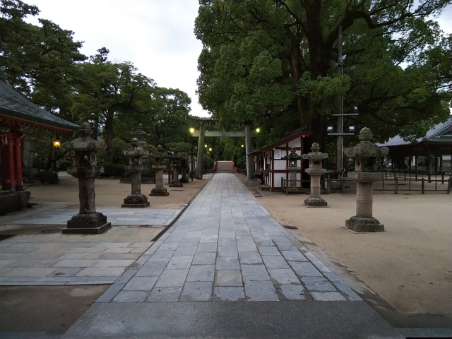 DSC_1226.jpg