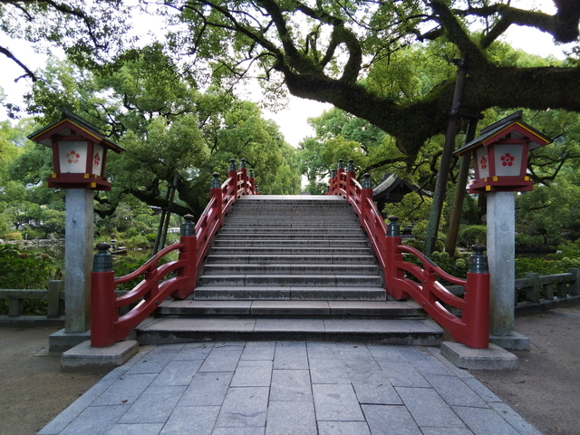 DSC_1503.jpg