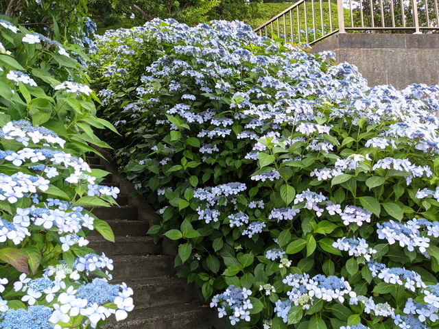 PXL_20210529_053555040.jpg