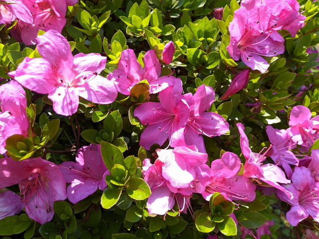 PXL_20210530_052718276.jpg