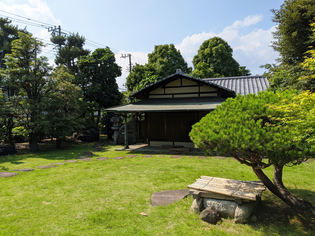 PXL_20210530_051454391.jpg