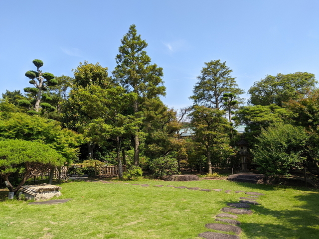 PXL_20210530_051619580.jpg
