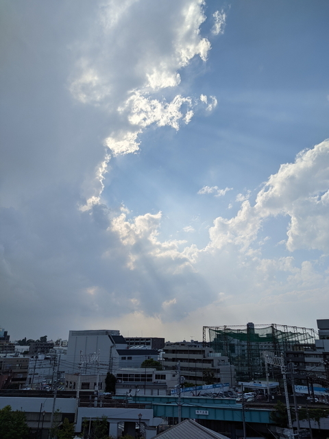 PXL_20210530_062344479.jpg