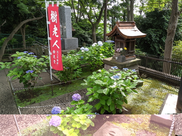 PXL_20210606_064657225.jpg