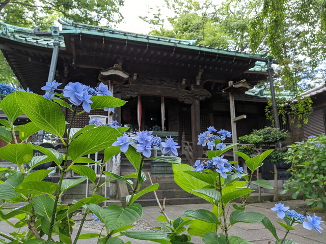 PXL_20210612_053629920.jpg