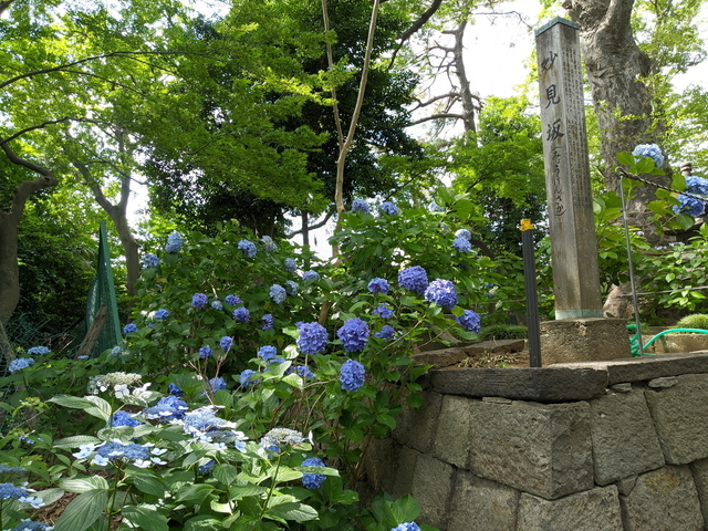PXL_20210612_053214549.jpg