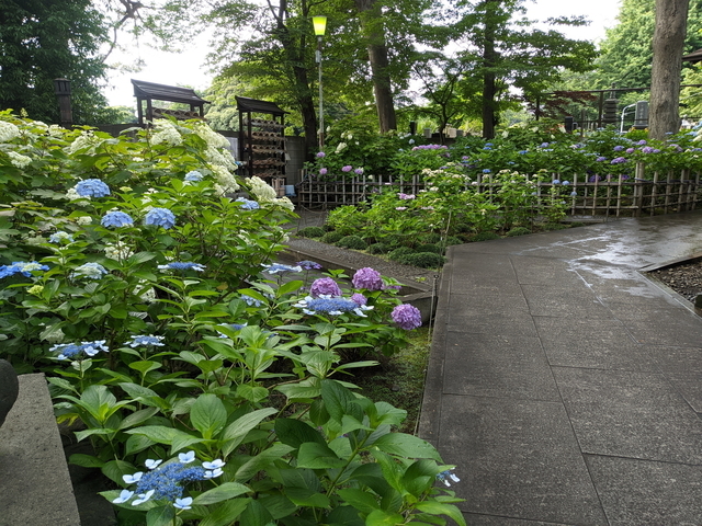 PXL_20210606_065205742.jpg