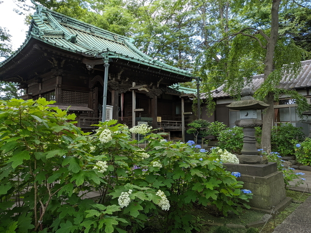 PXL_20210612_052955087.jpg