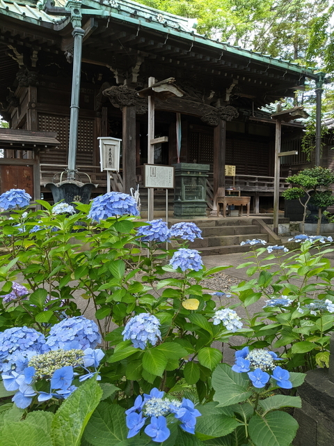 PXL_20210612_053549820.jpg