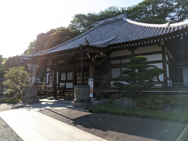 PXL_20210523_072723906.jpg