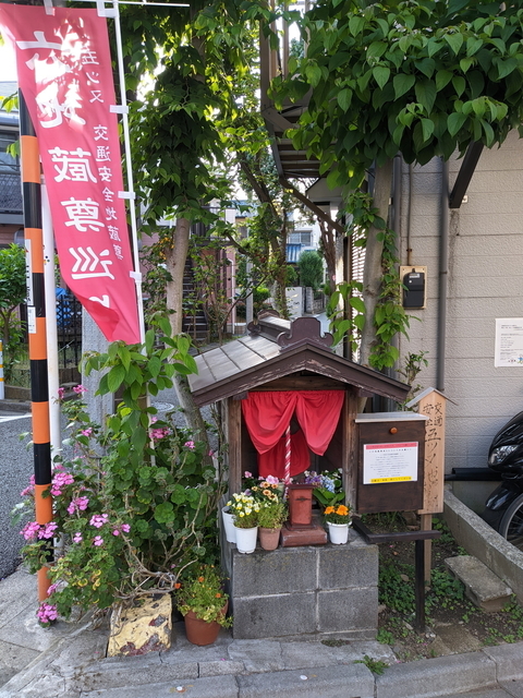 PXL_20210530_080426371.jpg