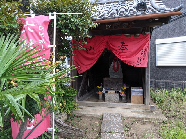 PXL_20210613_061647368.jpg