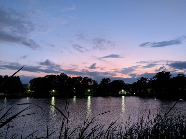 PXL_20210624_102631748.jpg