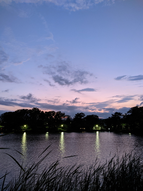 PXL_20210624_102711720.jpg
