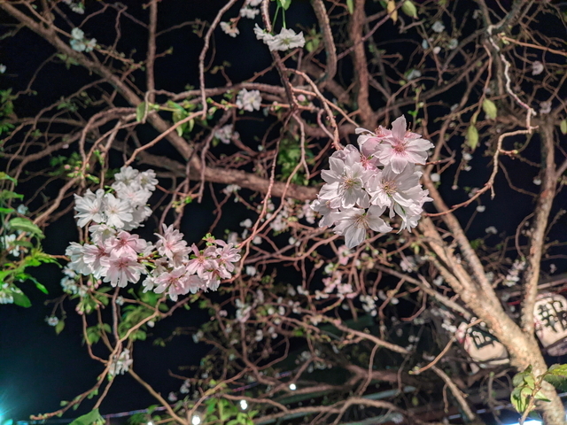 PXL_20211012_113945794.NIGHT.jpg