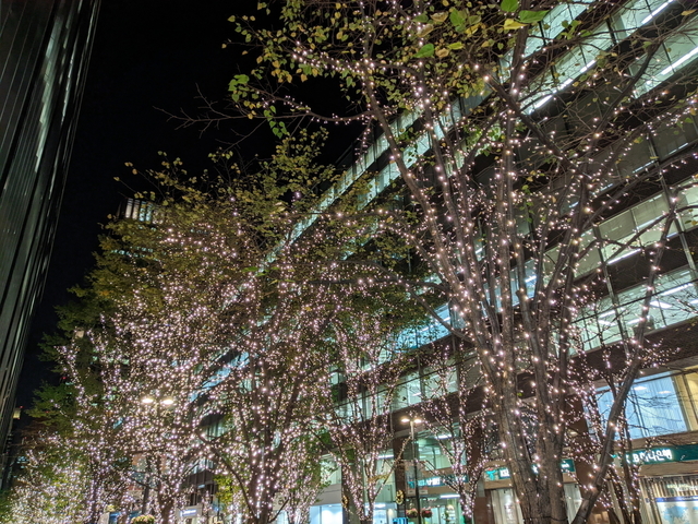 PXL_20211115_095039256.NIGHT.jpg