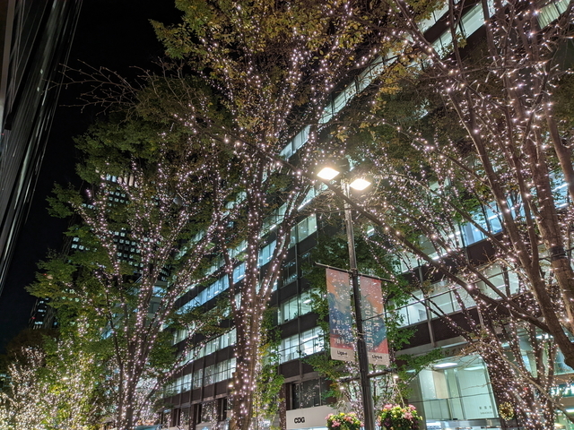 PXL_20211115_095136701.NIGHT.jpg