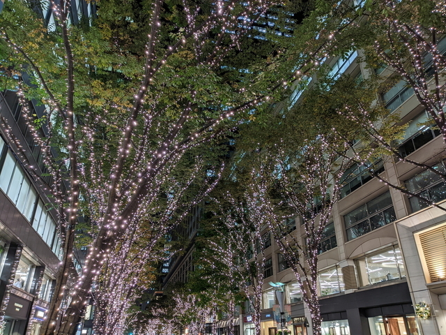 PXL_20211115_101936521.NIGHT.jpg