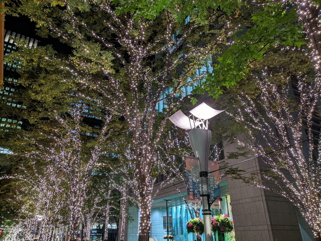PXL_20211115_104417928.NIGHT.jpg