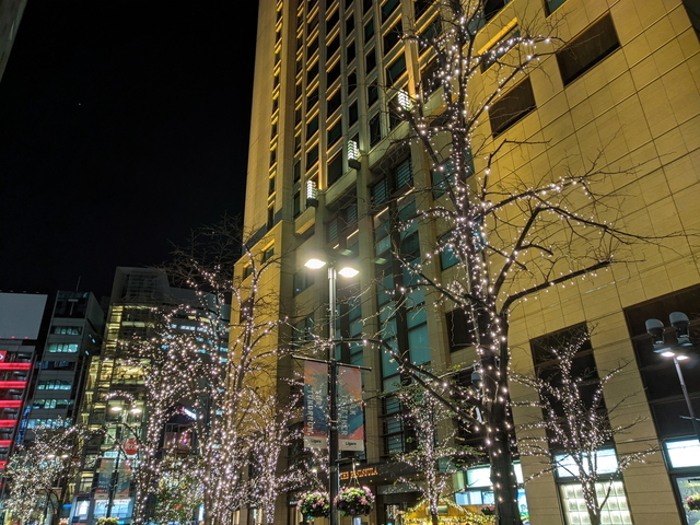 PXL_20211115_094237645.NIGHT.jpg